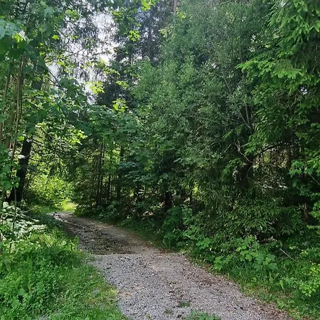 Forest House Above Ljubljana Rakitna
